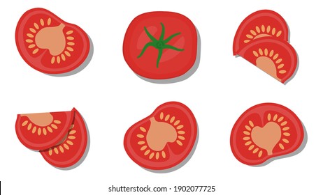 vector illustration close up top view of fresh ingredient sliced. 