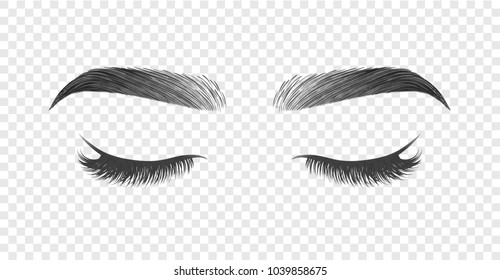 Vector illustration of closed eye with black long false eyelashes and eyebrows isolated on transparent background