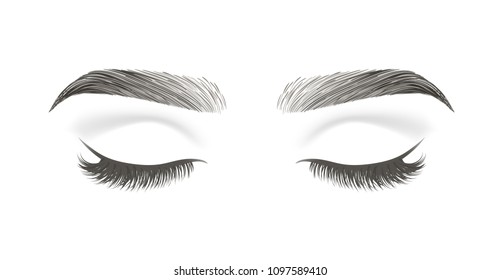 Vector illustration of closed eye with long false eyelashes and black eyebrows isolated on white background