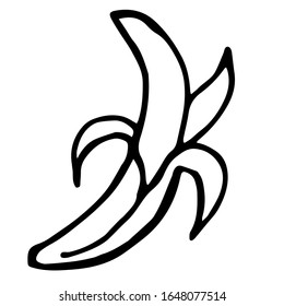 

Vector illustration. Close-up of banana fruit on an isolated white background.Design for coloring, cover, print of clothes.
