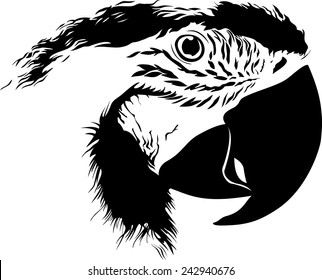 vector illustration of  close-up black and white parrots head isolated on white background