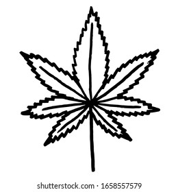  Vector illustration. Close-up of cannabis leaf on a white isolated background. Cover design, clothing print