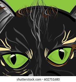 vector illustration of a close-up cat face with big, shiny, green eyes