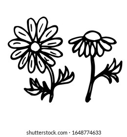 
Vector illustration. Close-up of monochrome abstract wild flower on an isolated white background. Design for coloring books, covers, print clothes.