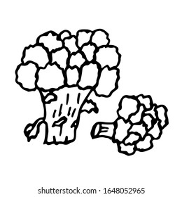 
Vector illustration. Close-up of vegetables, broccoli on an isolated white background.Design for coloring, cover, print of clothes.
