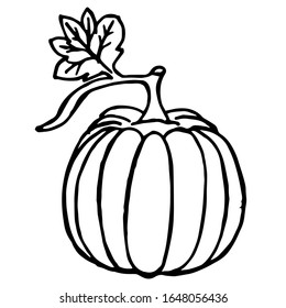 
 Ilustración vectorial. Cierre de verduras, calabaza en un fondo blanco aislado.Diseño para colorear, cubrir, imprimir ropa.