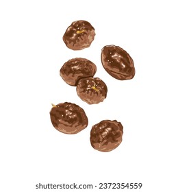 Vector illustration, close-up view of papaya seeds, isolated on white background.