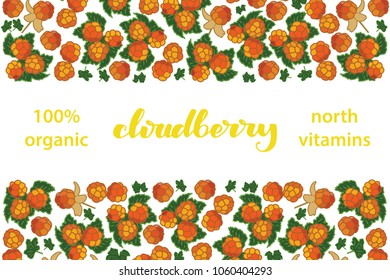 vector illustration of cloudberry and leaf design with lettering cloudberry background white and berry and text north vitamins 100% organic EPS10