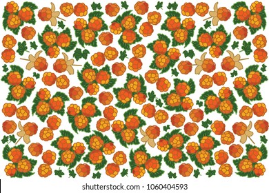 vector illustration of cloudberry and leaf design background white and berry EPS10