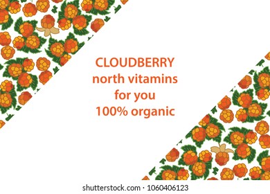 vector illustration of cloudberry and leaf design background white and berry and text north vitamins for you 100% organic EPS10