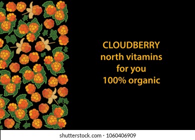 vector illustration of cloudberry and leaf design background black and berry and text north vitamins for you 100% organic EPS10