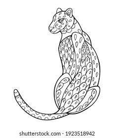 Vector Illustration of clouded leopard . Black and white vector illustration for coloring book. Beautiful drawings with patterns and small details. 