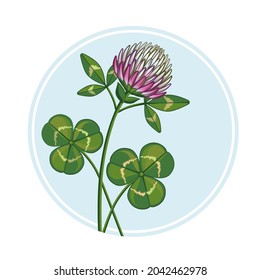 Vector illustration of a clover.