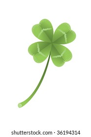 Vector illustration of a clover with four leaves on white background.