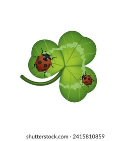 Vector illustration of clover leaf with ladybugs