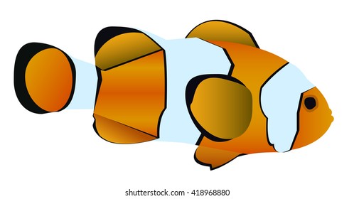 Vector illustration of clownfish