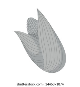 Vector illustration of cob and corn logo. Collection of cob and sweetcorn vector icon for stock.