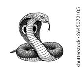 Vector illustration of a cobra on a white background
