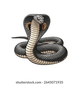 Ilustração vetorial de uma cobra sobre um fundo branco