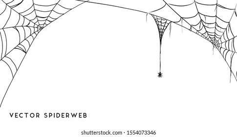 Vector Illustration of a Cobweb on a White Background