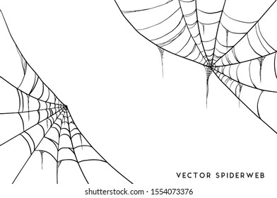 Vector Illustration of a Cobweb on a White Background