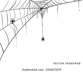 Vector Illustration of a Cobweb on a White Background