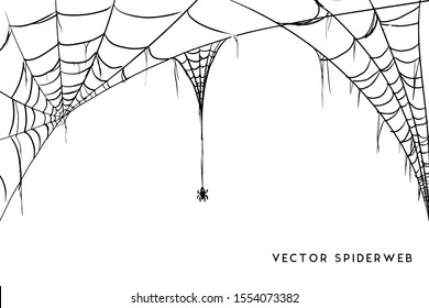 Vector Illustration of a Cobweb on a White Background