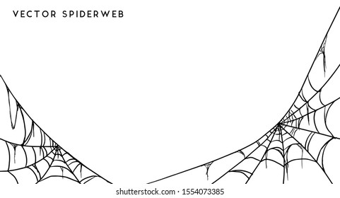 Vector Illustration of a Cobweb on a White Background