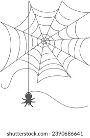 Vector illustration and cobweb