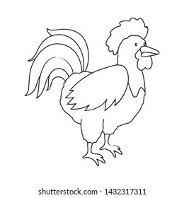 Vector illustration of cock and bird logo. Set of cock and husbandry stock symbol for web.