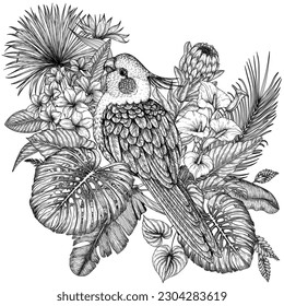 Vector illustration of a cockatiel parrot bird in a tropical garden in an engraving style. Anthurium, palm and banana leaves, liviston, plumeria, zantedeschia, monstera, strelitzia