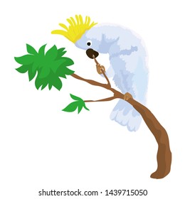 Vector illustration of cockatoo eating sprig isolated