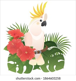 Vector illustration - Cockatoo, hibiscus flowers, palm, tropical bird.