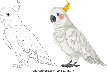 Vector illustration of a cockatoo in two styles