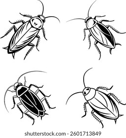 Vector illustration of Cockroach Icon