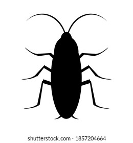 Vector illustration of cockroach icon on white background