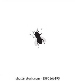 Vector illustration cockroach logo design simple modern