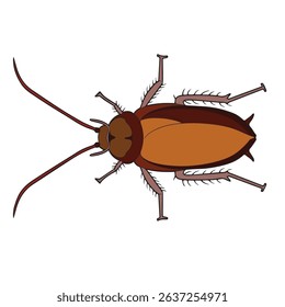 vector illustration of cockroach in original appearances