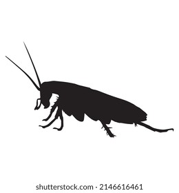 Vector Illustration Of Cockroach Silhouette