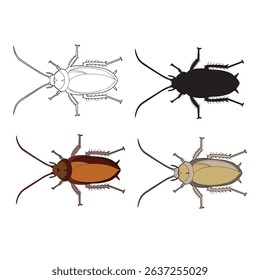 vector illustration of cockroach in various appearances 