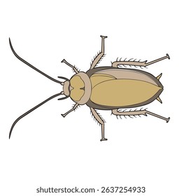 vector illustration of cockroach in vintage appearances