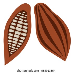 Vector illustration of cocoa beans. Cacao icon. Healthy organic food.