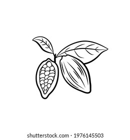Vector illustration, Cocoa beans with leaves, black and white icon template isolated on white background.
