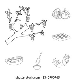 Vector illustration of cocoa and beans symbol. Set of cocoa and sweetness vector icon for stock.