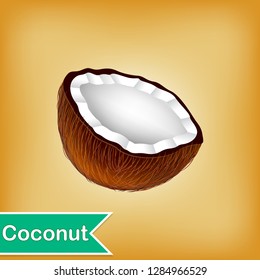 Vector Illustration Of Coconut