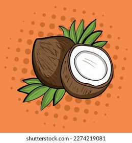 Vector illustration of the coconut.