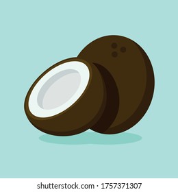 Vector illustration coconut, coconuts with mint background.