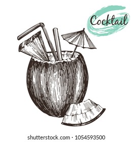 Vector illustration- coconut coctail