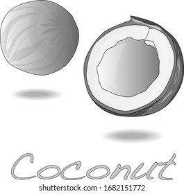 Vector illustration of coconut with half on white background. 