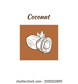 Vector illustration, Coconut with leaves, black and white icon template, isolated, colored background.